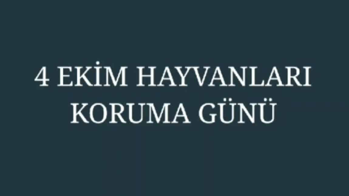 4 Ekim Hayvanları Koruma Günü